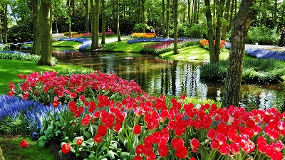 Parkmiljö med en smal, grönlysande lite sjö i centrum, omgiven av kortklippt gräs och rabbetr med hyacinter och tulpaner i olika färger.