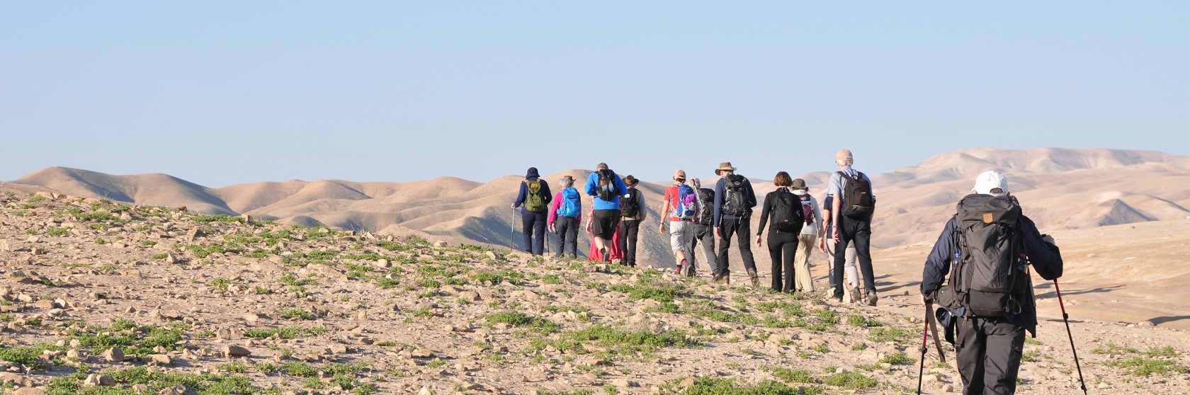 En grupp vandrare f�ljer en stig i halv�kenlandskapet i norra Negevomr�det, en del gr�n vegetation v�xer i det sm�kulliga landskapet.