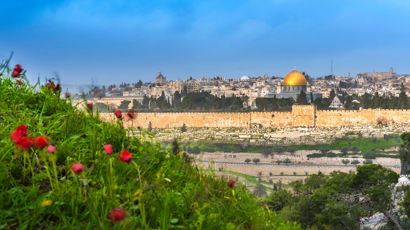 Gamla stan i Jerusalem fr�n en blomster�ng p� Olivberget.