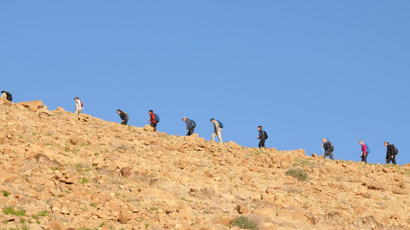 En grupp vandrare g�r p� toppen av stenigt kr�n med en gnutta vegetation.