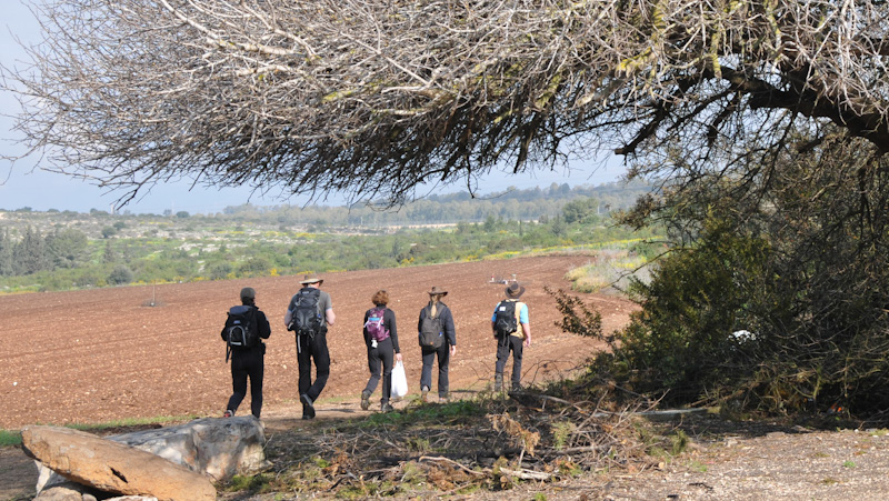 En liten grupp vandrare g�r under en torr tr�dtopp i kanten av ett uppl�jt f�lt, i bakgrunden lyser gula blommor i sten- och buskmarker.