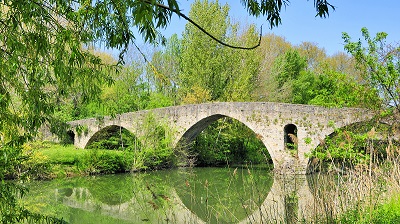 Magdalenabron i Pamplona inramad av skir vårgrönska; bron spelar sig i grönfärgat vatten.