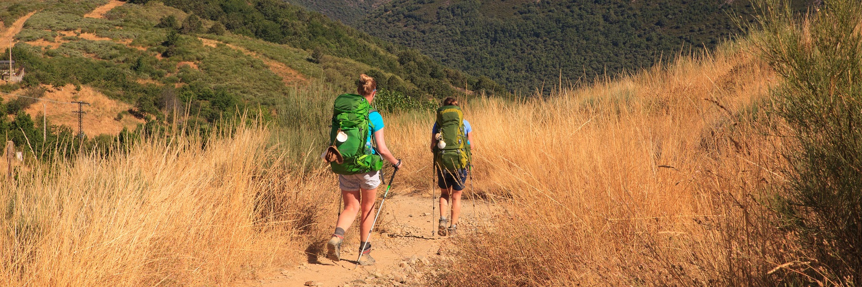 Tv� pilgrimsvandrare g�r nerf�r en sluttning med h�gt gulbr�nt gr�s.